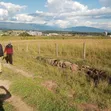 Olkalau Prime 1.4-Acre Land for Sale - 1