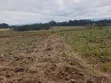 Olkalau Prime 1.4-Acre Land for Sale - 2