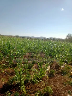 3 Acres Land for Sale in Murang'a - Mirira