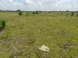 Juja Farm Mastore Prime 50x100 Plot - 3
