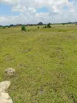 Juja Farm Mastore Prime 50x100 Plot - 5