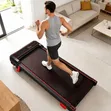 Polar Foldable Walking Pad (1-10 km/h) - 3