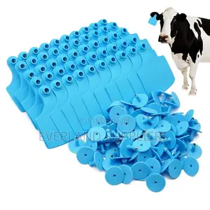 Medium Recognition Ear Tags for Cattle - Plain