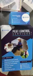 Business Cards and Flyers Printing - 2
