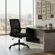 Mid Back Ergonomic Office Chair - Black - 1