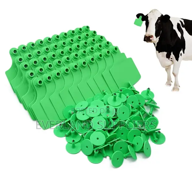 Cattle Identification Display Medium Ear Tags - 1