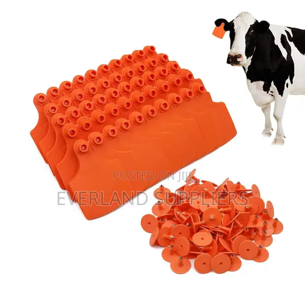 Large Plain Livestock Recognition Ear Tags - 1