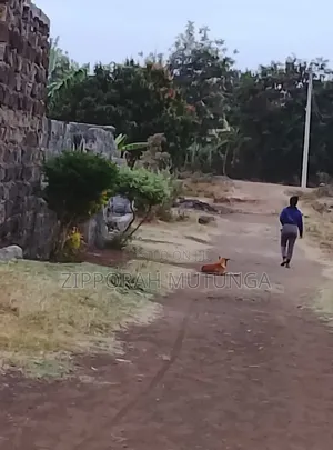 Plot for Sale in Muguga, Thika