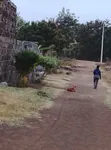 Plot for Sale in Muguga, Thika - 1