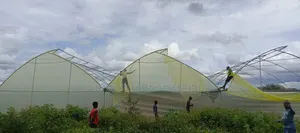 Greenhouse Construction Services