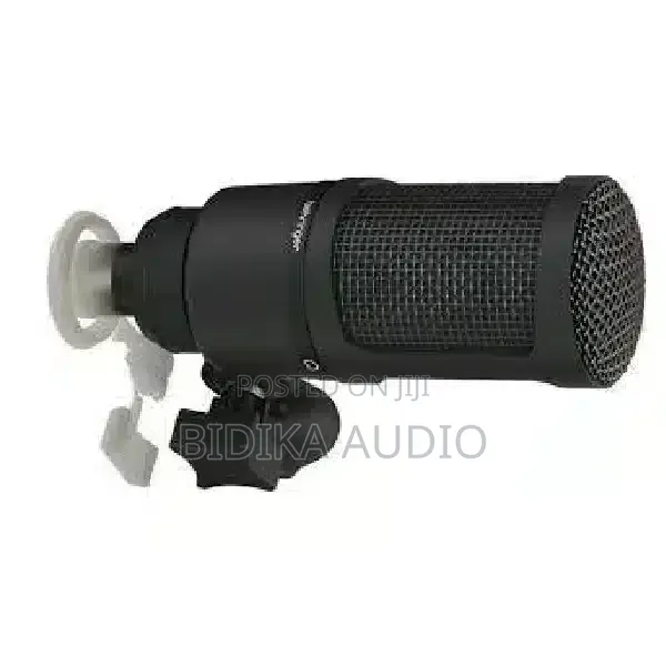 Behringer Bx2020 Condenser Microphone - 1