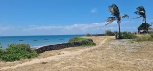 Eneo la Ekari 7 Pwani kwa Uuzaji, Malindi Kivulini