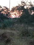 Commercial Land for Sale in Kathonzweni - 4