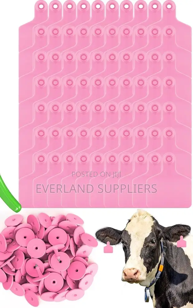Bold Plain Pink Herd Medium Ear Tags - 1