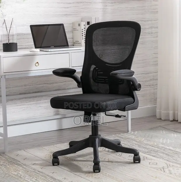 Ergonomic Office Chair with Adjustable Lumbar Support - 1
