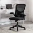 Ergonomic Office Chair with Adjustable Lumbar Support - 1