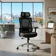 Ergonomic High Backrest Lumbar Support Office Chair - 3