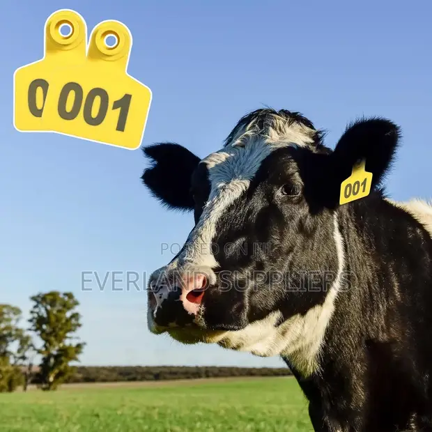 Precision Cattle Ear Tags za Kati - Zenye Namba - 1