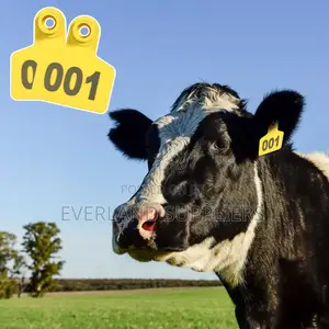 Precision Cattle Medium Ear Tags - Numbered