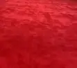 Premium Delta Wall-to-Wall Carpets - 2