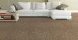 Delta Wall-to-Wall Carpets for Home Decor - 2