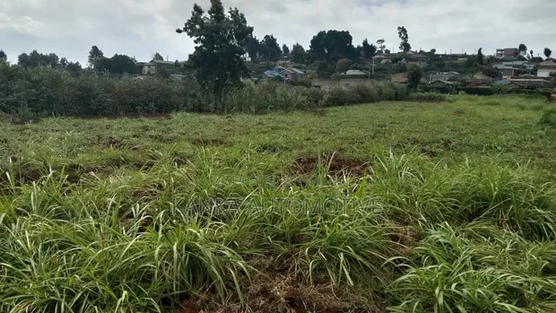 Prime Plot for Sale - Limuru 100x100 (1/4 Acre) - 1