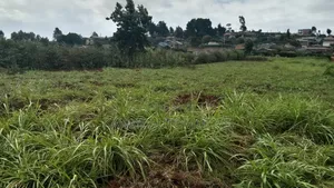 Prime Plot for Sale - Limuru 100x100 (1/4 Acre)