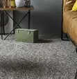 Delta Wall-to-Wall Carpets - Tsavo Road, Odeon - 2