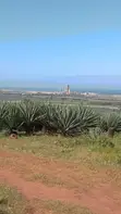 Eneo la Prime la Eka 1 Linauzwa Vipingo - 3