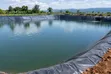 Dam Liners kwa Umwagiliaji wa Mazao Unaodumu - 2
