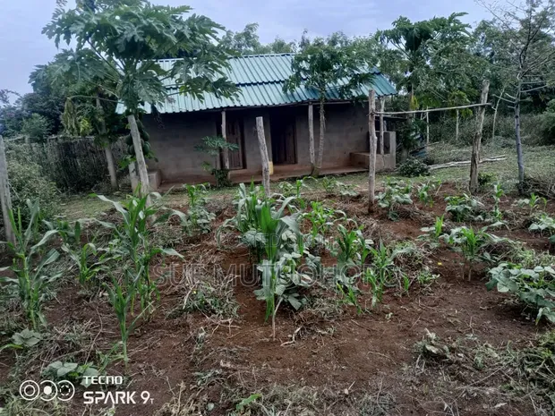 Kwetu Gardens - 7 Acres Fertile Farmland - 1