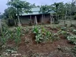 Kwetu Gardens - 7 Acres Fertile Farmland - 1