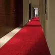 Walkway Delta Wall-to-Wall Carpets - 1