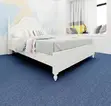 Delta Plush Wall-to-Wall Carpets - 1