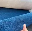 Delta Heavy-Duty Wall-to-Wall Carpet - 1