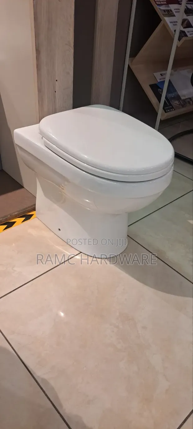 Floor Standing Back to Wall Toilet Seat - 1