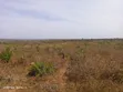 Zuri Gardens 10 Acres Coastal Land - 3