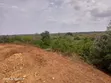 Zuri Gardens 10 Acres Coastal Land - 5