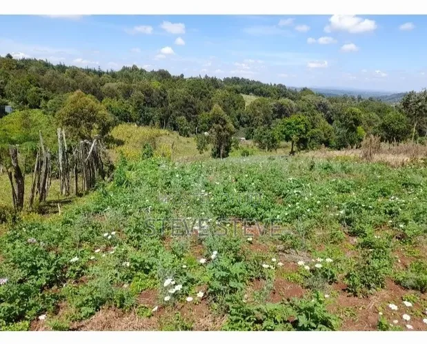 Kitalu cha 1/4 Eka kwa Mmiliki Nyandarua, Ndaragwa, Pesi - 1