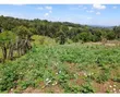 Kitalu cha 1/4 Eka kwa Mmiliki Nyandarua, Ndaragwa, Pesi - 1