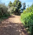 Kitalu cha 1/4 Eka kwa Mmiliki Nyandarua, Ndaragwa, Pesi - 2