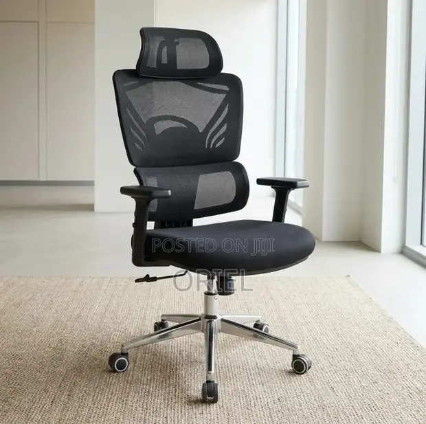 Ergonomic Orthopedic Office Chair - Black - 1