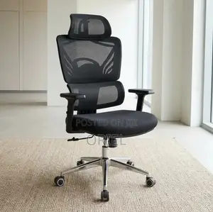 Ergonomic Orthopedic Office Chair - Black