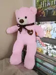 Cute Teddy Bear 60cm - Birthday Gift - 1