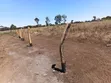 Eneo la Prime la Eka 9 za Kilimo kwa Uuzaji Rombo - 3