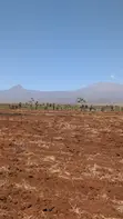 Shamba la Eka 10 Tayari kwa Kilimo Linauzwa - Loitokitok/Kimana - 3