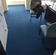 Home Office Delta Wall-to-Wall Carpets - 1