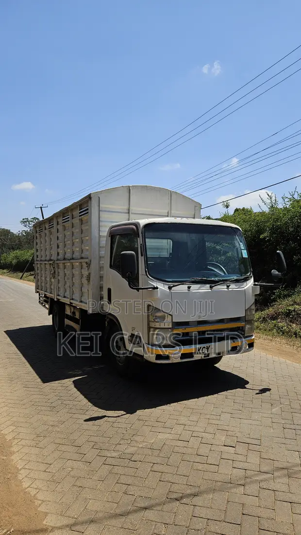 Isuzu NMR Truck 2011 White - 1