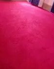 Indoor Delta Wall-to-Wall Carpets - 1