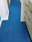 Delta Multipurpose Wall-to-Wall Carpets - 2